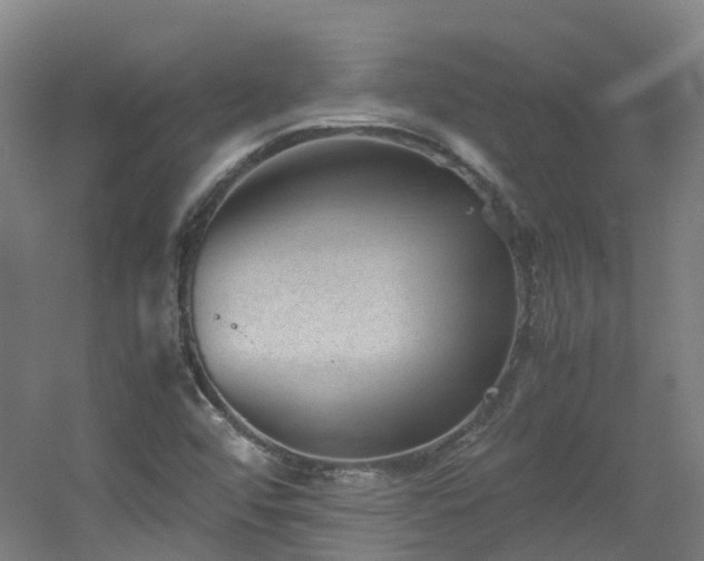 X0000060551456200511031204