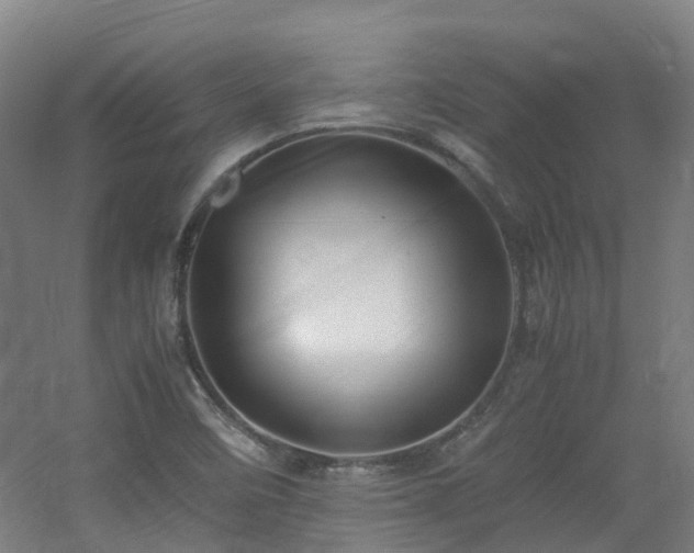 X0000060551458200511031204