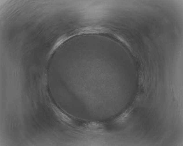 X0000060551459200511031204