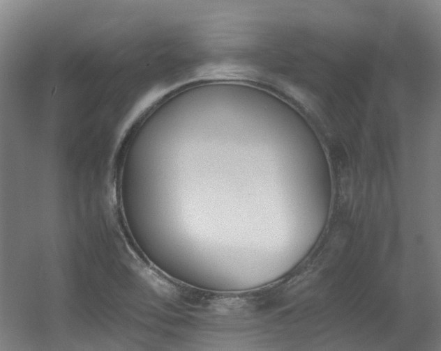 X0000060551462200511031204