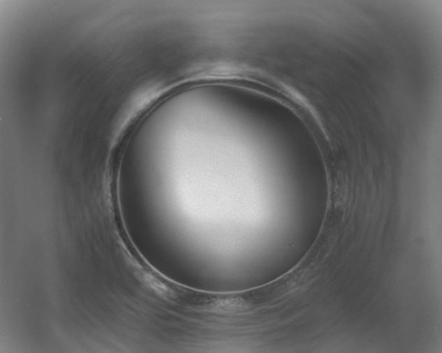 X0000060551464200511031204