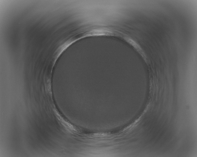 X0000060551465200511031204