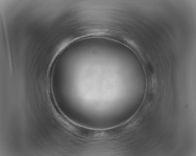 X0000060551467200511031204