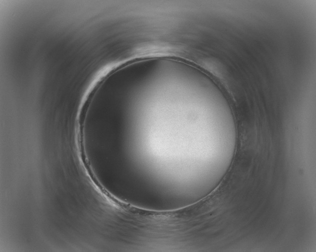 X0000060551472200511031204