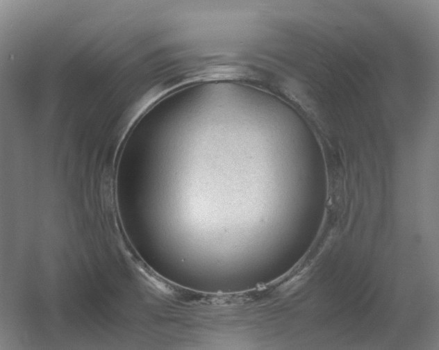 X0000060551473200511031204