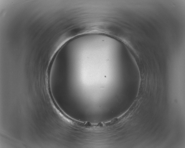 X0000060551476200511031204