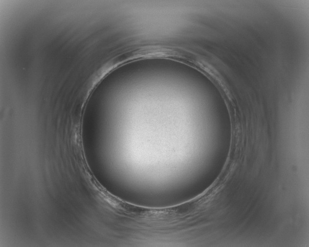 X0000060551481200511031204