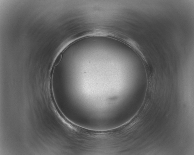 X0000060551484200511031204
