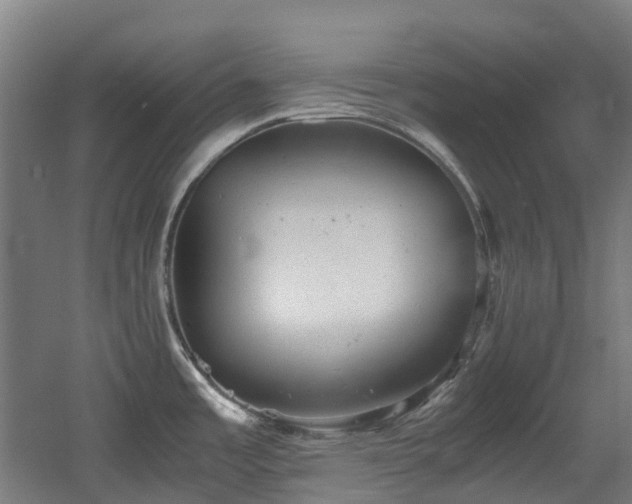 X0000060551485200511031204