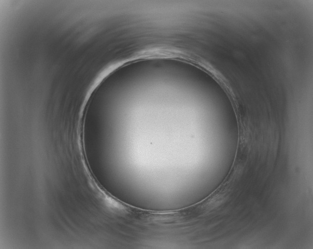 X0000060551486200511031204