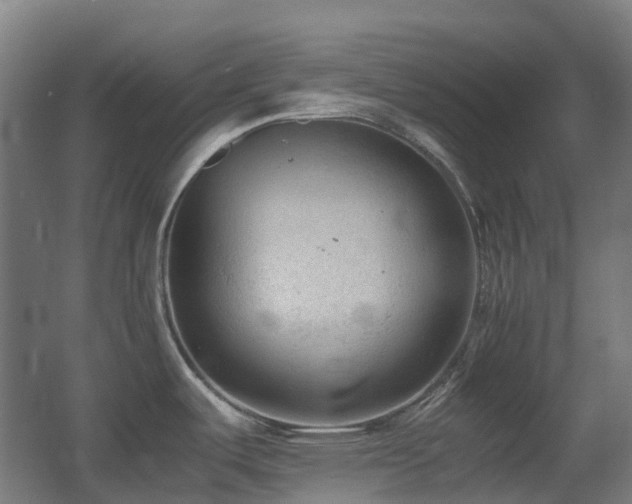 X0000060551487200511031204