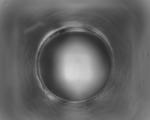 X0000060551488200511031204