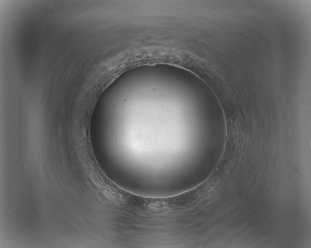 X0000060551489200511031203