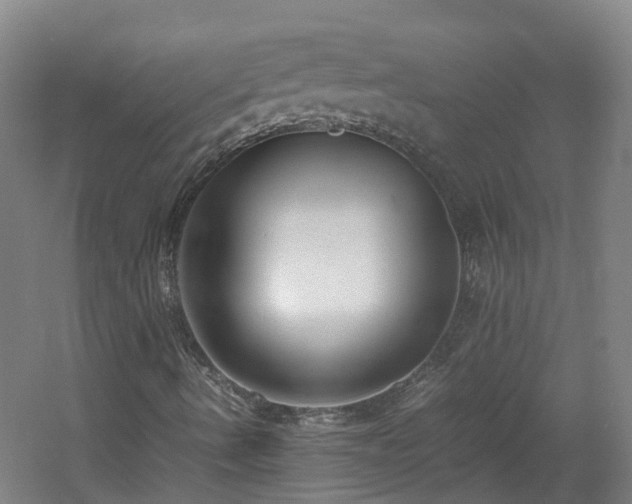 X0000060551490200511031203
