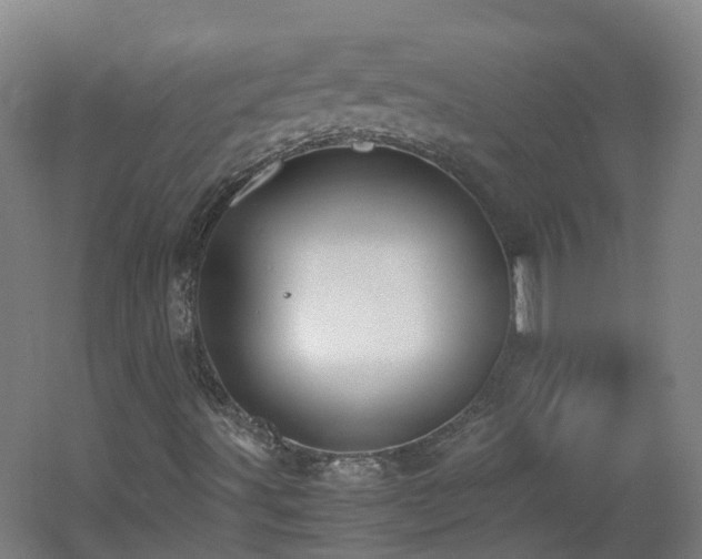 X0000060551491200511031203