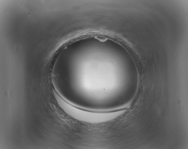X0000060551496200511031203