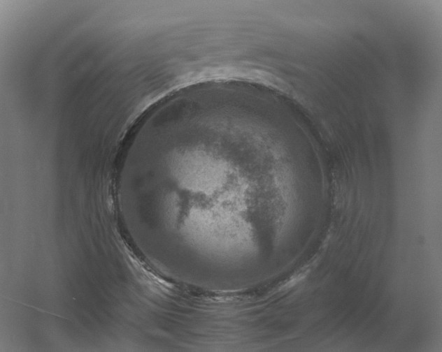X0000060551497200511031203
