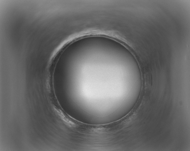 X0000060551502200511031203
