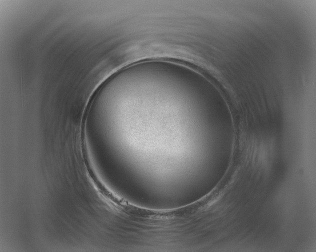 X0000060551513200511031203