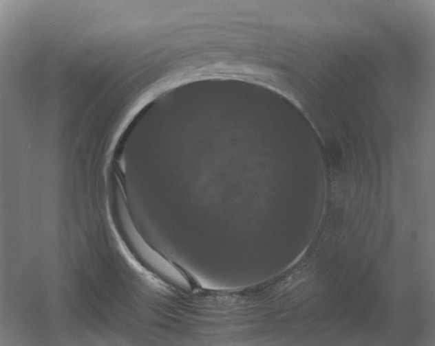X0000060551515200511031203