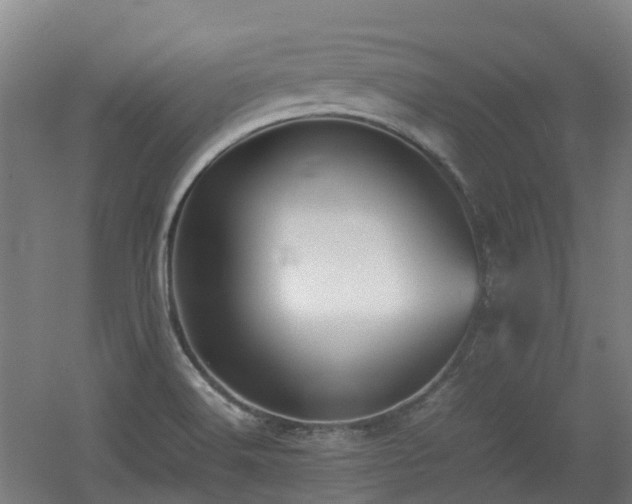 X0000060551516200511031203