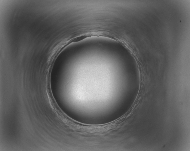 X0000060550001200511070933