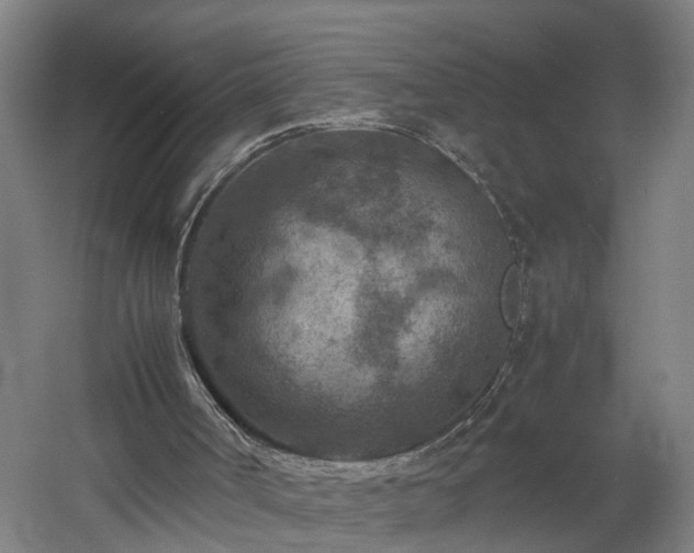 X0000060550002200511070933