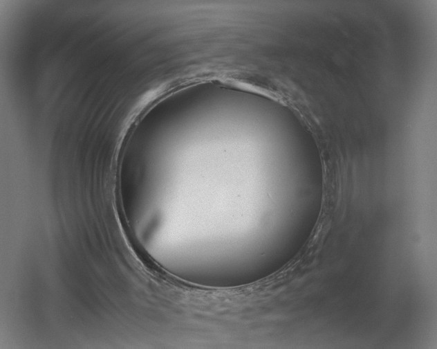 X0000060550003200511070933