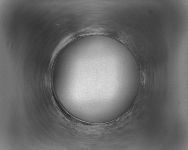 X0000060550004200511070933