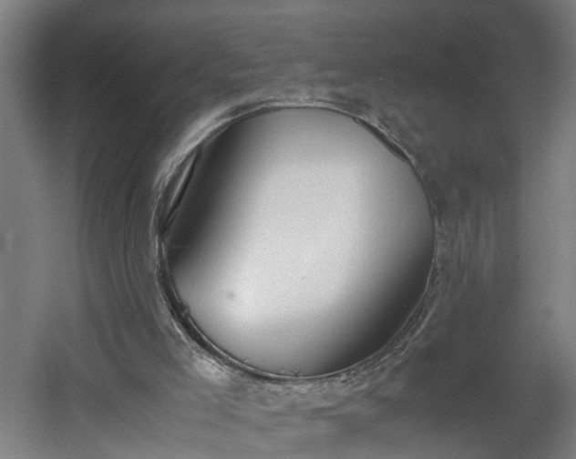 X0000060550005200511070933