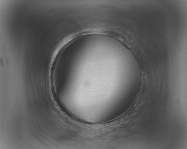 X0000060550006200511070933