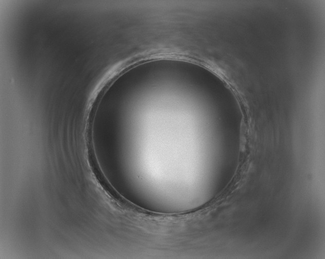 X0000060550007200511070933