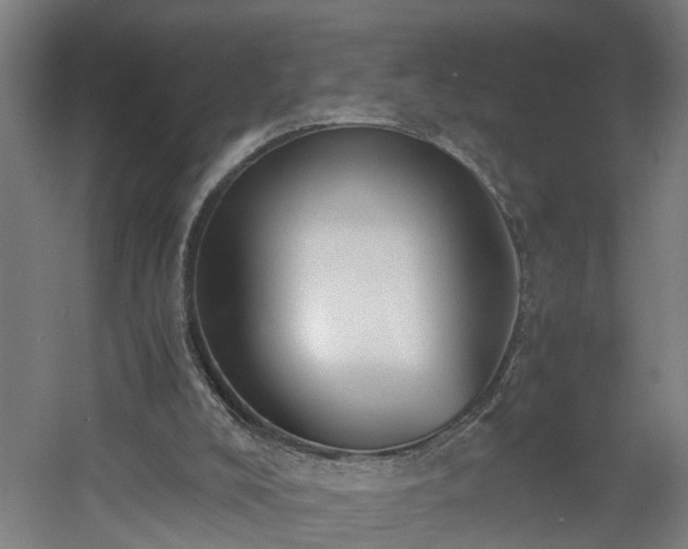 X0000060550008200511070933