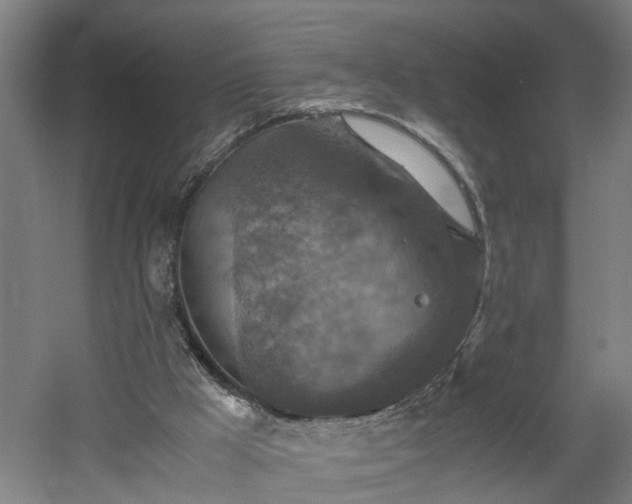 X0000060550009200511070933