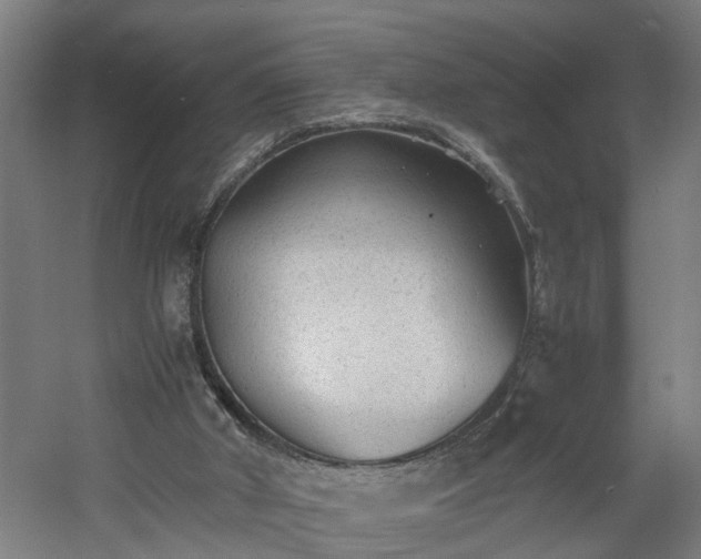 X0000060550010200511070933