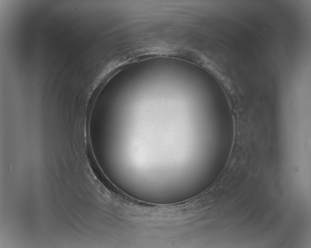 X0000060550011200511070933