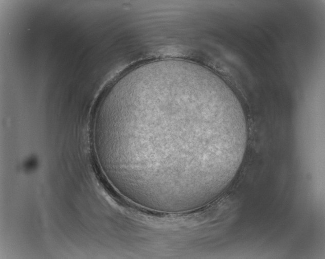 X0000060550012200511070933