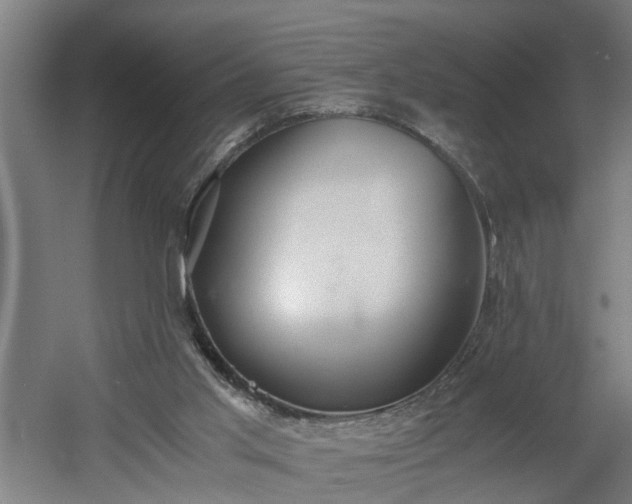 X0000060550013200511070933