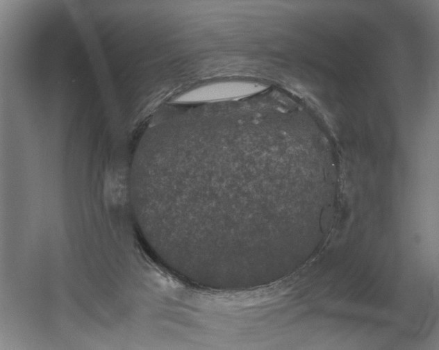 X0000060550017200511070933