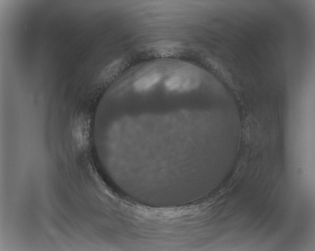 X0000060550018200511070933