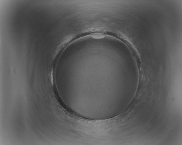 X0000060550019200511070933