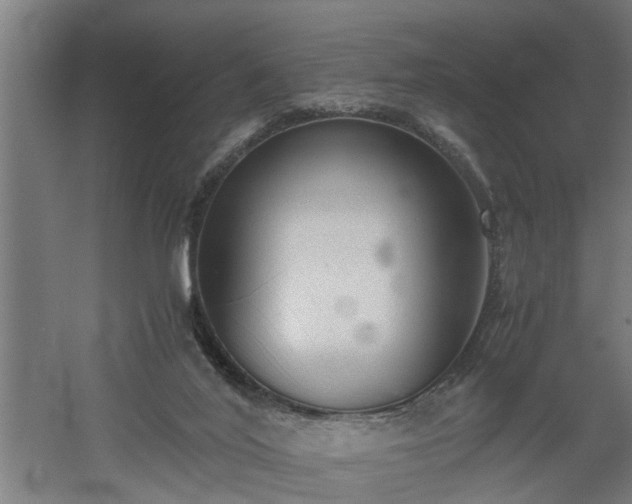 X0000060550020200511070933