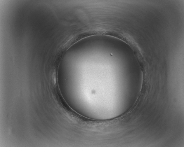 X0000060550021200511070933