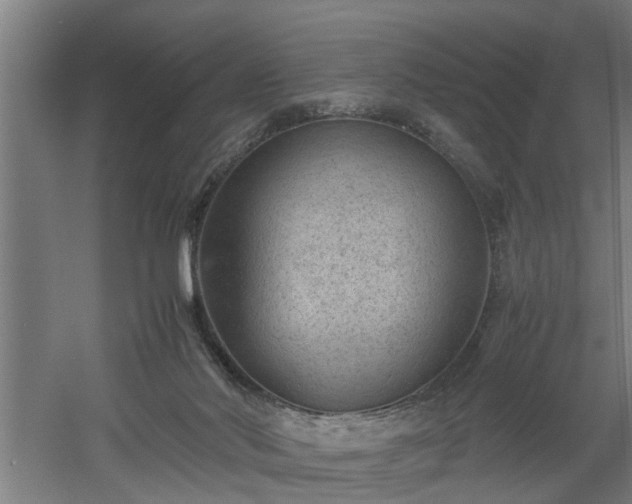 X0000060550022200511070933