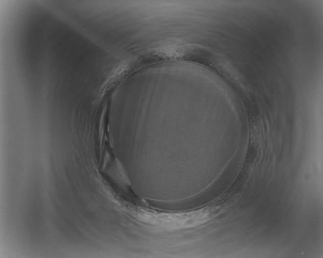 X0000060550023200511070933