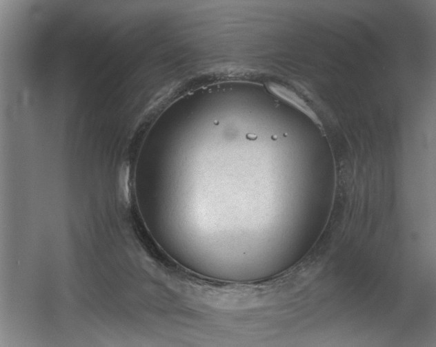 X0000060550024200511070933