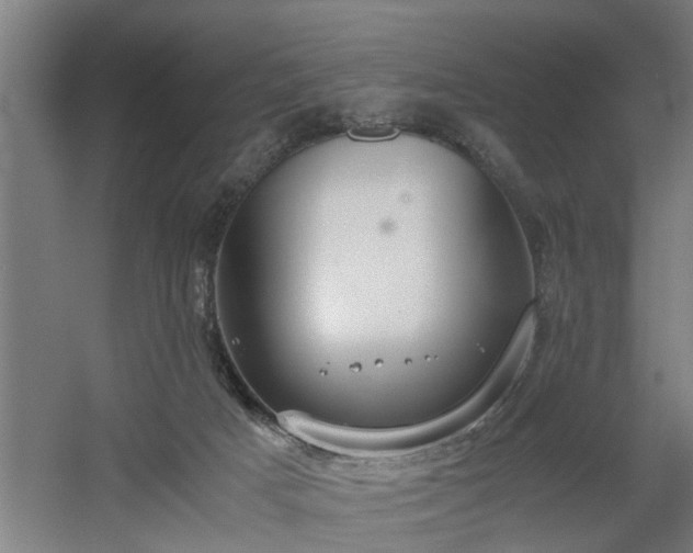 X0000060550025200511070933