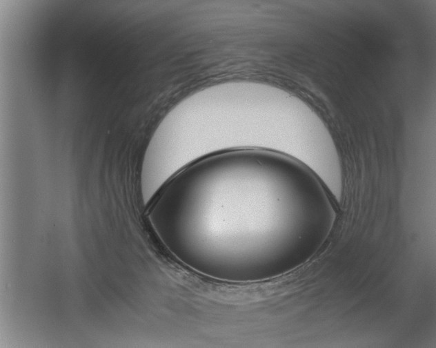 X0000060550029200511070933