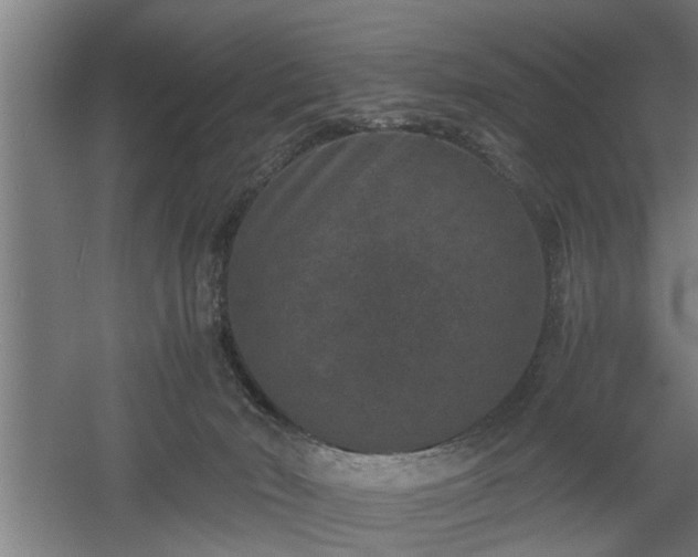 X0000060550030200511070933