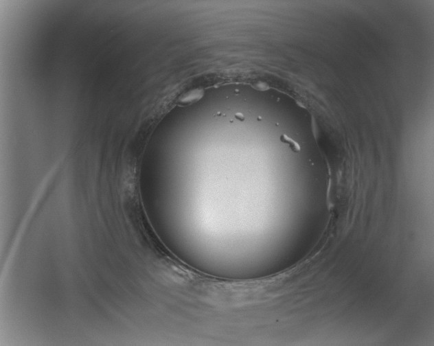 X0000060550033200511070933